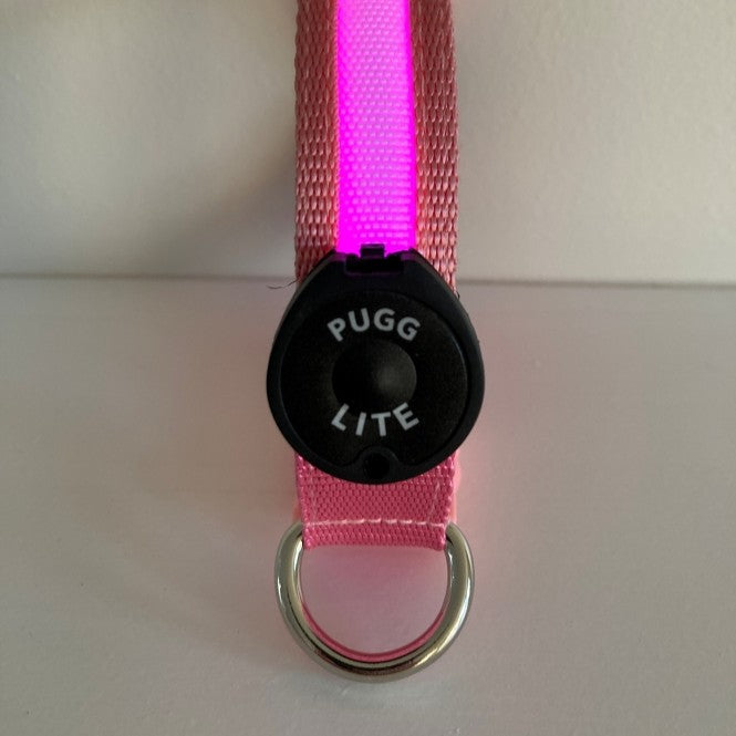 LED Collar - Pretty in Pink