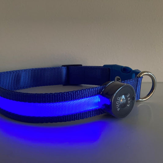 LED Collar - Paw Patrol BLUE