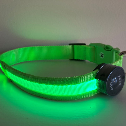 LED Collar - KX Green
