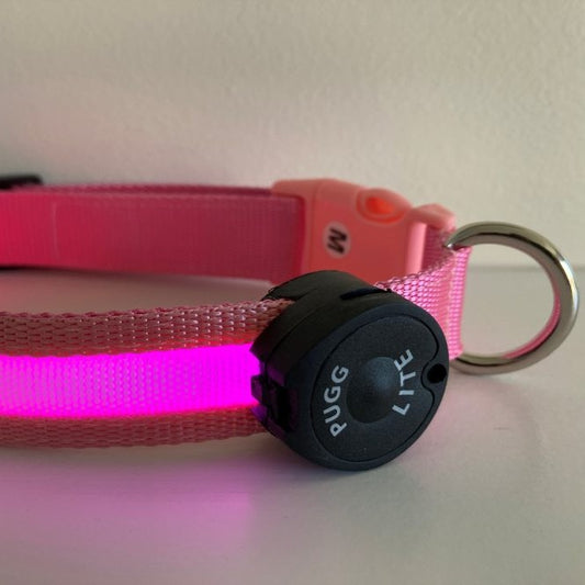 LED Collar -  Pretty in Pink