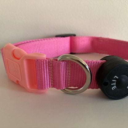 LED Collar -  Pretty in Pink