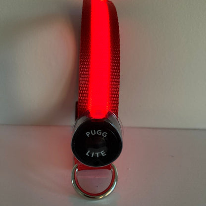 LED Collar - Simply Red