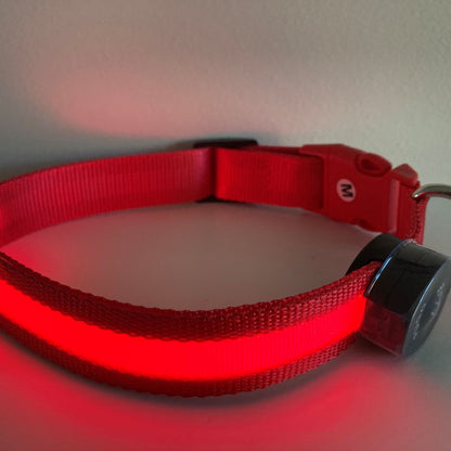 LED Collar - Simply Red